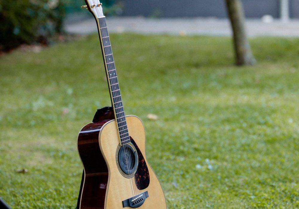 Gitarre im Garten